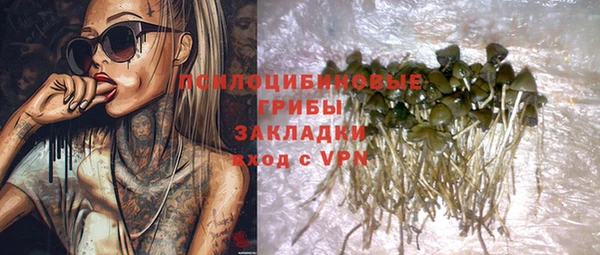индика Михайловск