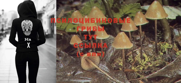 метадон Алексеевка